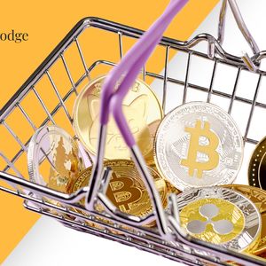 How to Buy Bitcoin (BTC) And Everlodge (ELDG) For Cheap? Beginners Guide