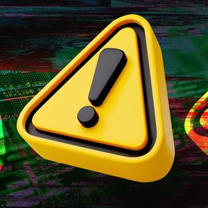 Unveiling Risks and Red Flags: BORROE FINANCE SCAM WARNING for Potential Investors