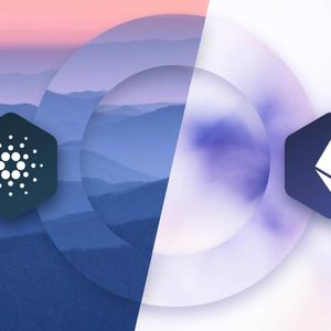 Cardano (ADA) or Ripple (XRP)? Top Analysts Pick New Upcoming Presale Pushd (PUSHD) Over Both