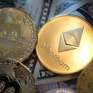 Why Pushd (PUSHD) is gaining investors from Dogecoin (DOGE) and Shiba Inu (SHIB)
