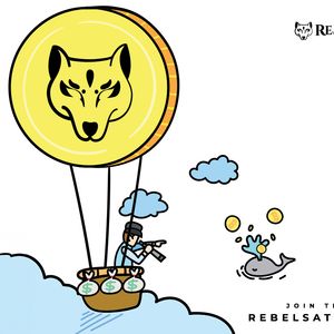 Dogecoin vs. Rebel Satoshi vs. BNB: Navigating the Best Investment for Long-Term Wealth Growth