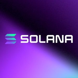 Is Pushd (PUSHD) the Best Investment in 2024? Ripple (XRP) and Solana (SOL) Investors Join New Presale