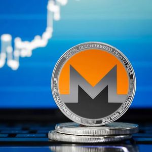 Monero (XMR) Litecoin (LTC), Or Pushd (PUSHD)? Top Analyst Picks Pushd (PUSHD) Over Both