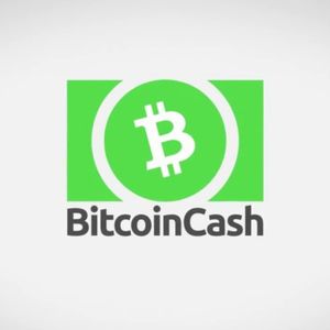 Price prediction: Shiba Inu (SHIB), Bitcoin Cash (BCH) and Pushd (PUSHD). Analyst picks Pushd (PUSHD)