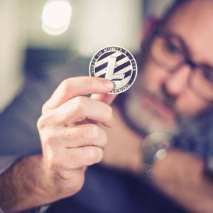 Could Borroe Finance Eclipse Litecoin? Indicators Point to a Significant Surge for Borroe Finance this Season