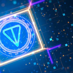 Chainlink (LINK) and Toncoin (TON) investors show excitement in the new Kelexo (KLXO) presale