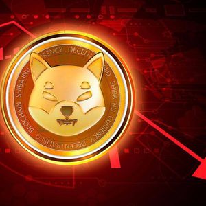 Dogecoin (DOGE) Millionaire buys into the new Kelexo (KLXO) presale, as Shiba Inu (SHIB) dumps