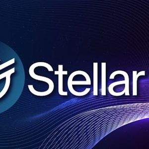 Cardano (ADA) and Stellar (XLM) Outflows are Giving Pushd (PUSHD)  Investors a Free Lunch: Find out Why