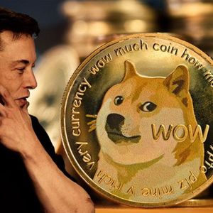 Crypto crash! Markets plunge as investors from Ethereum (ETH) and Dogecoin (DOGE) seek refuge in the Pushd (PUSHD) presale