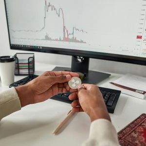 Analysts Bullish on Borroe Finance Amidst XRP and Litecoin’s Steady Performance