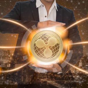 Pushd (PUSHD) on track to become the largest presale on record as investors from Monero (XMR) and Ripple (XRP) buy in