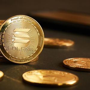 Pushd (PUSHD) presale frenzy has Ethereum Classic (ETC) and Solana (SOL) investors buying in