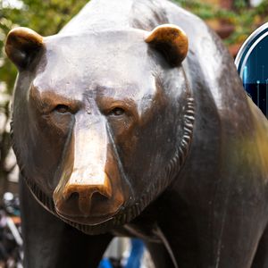 Algotech (ALGT) vs. Avalanche (AVAX) – Which One Has the 100x Potential?