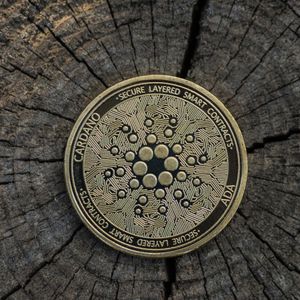 Cardano (ADA) & Solana (SOL) investors add Lending Platform Kelexo (KLXO) Phenomenon to Portfolio as Presale Continues to Rocket