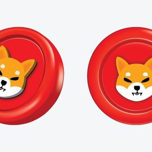 Why Polkadot (DOT) Investors Think Pushd (PUSHD) and Shiba Inu (SHIB) Investment in February Is a Wise Move