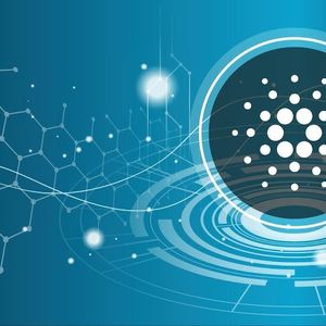 Pushd (PUSHD) Presale Looking Like Blue-Chip Stock as 4th Presale Nearly Sold Out to Cardano (ADA) and USD Coin (USDC) Investors