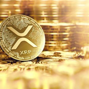 Kelexo (KLXO) presale takes HUGE investment from unknown Ripple (XRP) holder as Cardano (ADA) holders follow for big gains