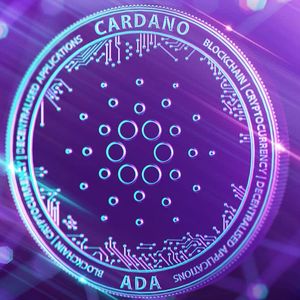 Why Pushd (PUSHD) gains more traction across the crypto market as Bitcoin (BTC) and Cardano (ADA) holders continue to buy in