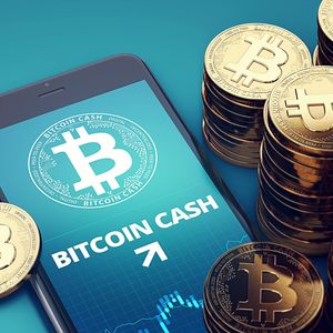 “The Crypto Amazon,” says experts about Pushd (PUSHD) presale as Ethereum (ETH) & Bitcoin Cash (BCH) holders buy in early