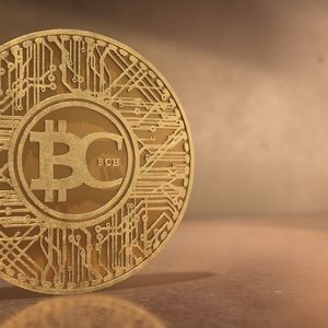 Shiba Inu (SHIB) holders love DeeStream (DST) as presale headlines continue and Bitcoin Cash (BCH) investors join in