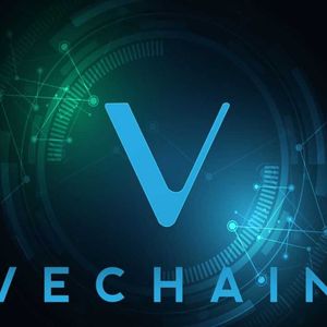 Market rockets as VeChain (VET) sets new levels but Pushd (PUSHD) presale takes the limelight as Ethereum (ETH) holders pile in