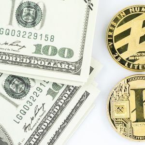 “Next Ebay but for crypto” says analyst regarding Pushd (PUSHD) presale as Litecoin (LTC) & Solana (SOL) investors joi