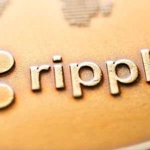 E-Commerce Pushd (PUSHD) selling out latter stages to Chainlink (LINK) & Ripple (XRP) coin holders as big gains look possible