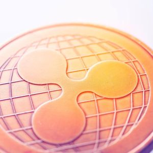 Market surge plateau sees traders shift big profits from Chainlink (LINK) & Ripple (XRP) into new venture Pushd (PUSHD)