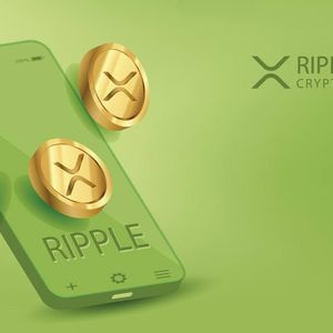 Ripple (XRP) & Cardano (ADA) holders at war but both seem to agree on Pushd (PUSHD) presale as both holders buy in