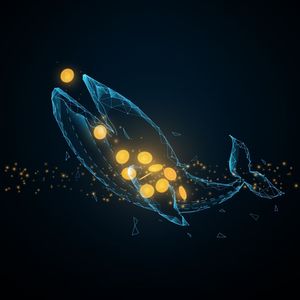 Bitcoin Sees $5 Billion Injection from Whales; Hedera & Polkadot Rivals Bullish Outlook for 2024