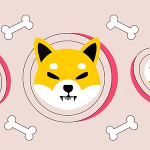 Why is everyone buying Kelexo (KLXO) presale and how it will out-perform Shiba Inu (SHIB) or Aave (AAVE) in its first year