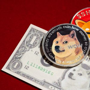 Crypto Rising Stars: Pushd (PUSHD) Gains Put it same leagues as Bitcoin Cash (BCH) and Dogecoin (DOGE)