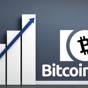 Big gains iminent the corner for Pushd (PUSHD) holders as platform continues to take Bitcoin Cash (BCH) & USDC (USDC) investment