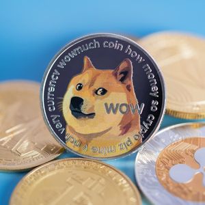 Why is everyone buying Pushd (PUSHD) presale and why do Dogecoin (DOGE) investors think 30X is possible