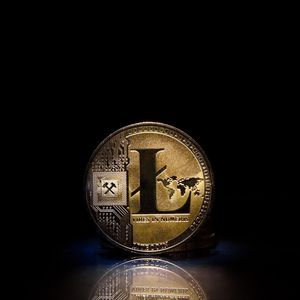 Unprecedented Interest: Pushd (PUSHD) Presale Amid Ethereum (ETH) Rally and Litecoin (LTC) Market Optimism