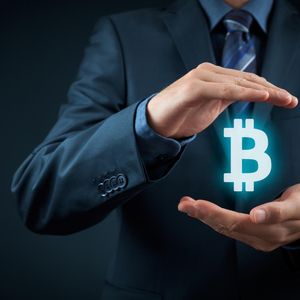Massive Momentum: Pushd (PUSHD) Presale Draws Attention from Bitcoin (BTC) and Cardano (ADA) Communities
