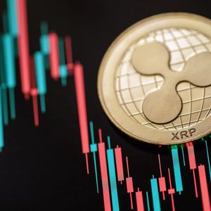 Trump Ethereum (ETH) Sale Spurs Uniswap (UNI) and Ripple (XRP) into Pushd (PUSHD) E-commerce Action: Tether (USDT) Holders Fuel Demand, Anticipating 30x Potential