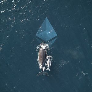 Cardano (ADA) Whale Tips DeeStream (DST) Streaming Innovation For 100X Sending Tidal Wave of Ethereum (ETH) Holders Following