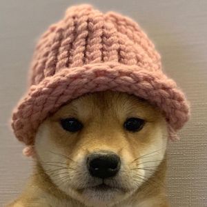 dogwifhat Supposed Owner Auctions Memecoin’s Dog Photo as NFT