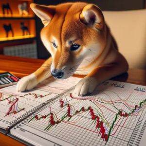 Explosive Growth Potential: Raffle Coin (RAFF) Presale Gains Momentum with Surge in Interest from Shiba Inu (SHIB) and Frogwifhat (FWIF) Enthusiasts