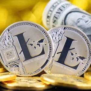 As Polkadot (DOT) & Litecoin (LTC) Markets Adjust, Raffle Coin (RAFF) Opens Up New Investment Avenues