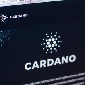 Cardano Founder Hints At Exciting Development: Solana and NuggetRush Defy Bearish Market