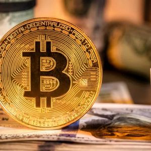 Cuddly Koala Coin (KLC) Captures Attention of Litecoin (LTC) & Bitcoin (BTC) Investors, Forecasted to Achieve Unprecedented Success in 2024