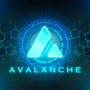 The Avalanche & Chainlink Network Communities Embrace Pushd, Expecting to Witness Unprecedented Growth Within the E-Commerce Arena