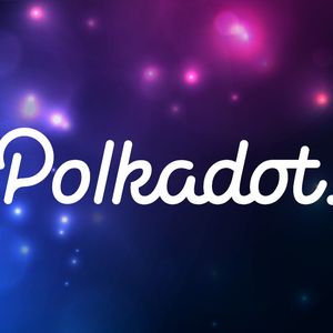 Polkadot and TRON Supporters, Your Confidence in Raffle Coin’s Presale Could Pay Off Big Amid Market Woes