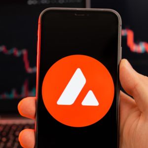 ERC20 Climbs High in 7 Days, Milei Moneda Presale Selling out Earlier Than Anticipated as Avalanche Boosts Meme Coins