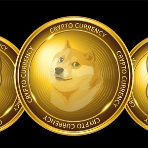 Raffle Coin (RAFF) Becomes New Haven for Dogecoin (DOGE) and Shiba Inu (SHIB) Investors After Market Downturn