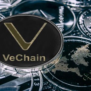 Best Cryptocurrencies To Invest in Right Now for Massive Gains — Binance Coin, NuggetRush, and VeChain