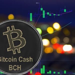 Investors Turn to Koala Coin (KLC) as Litecoin (LTC) and Bitcoin Cash (BCH) See Corrections