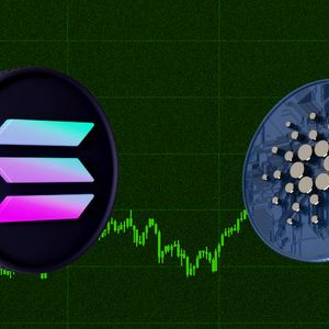 Snuggle Up with Profits: Koala Coin (KLC) ICO vs Solana (SOL) and Cardano (ADA)